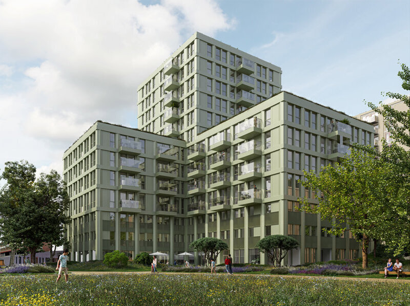 projecten rootz haarlem