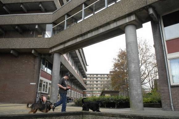 projecten 80 appartementen sterflat 2 iplus