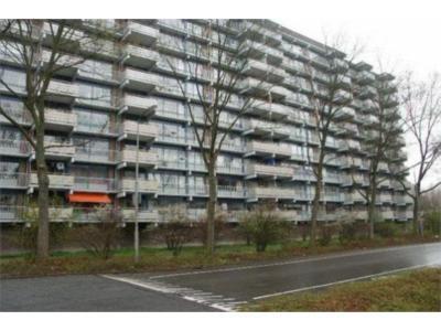 projecten 188 appartementen kadoelerbos te zoetermeer