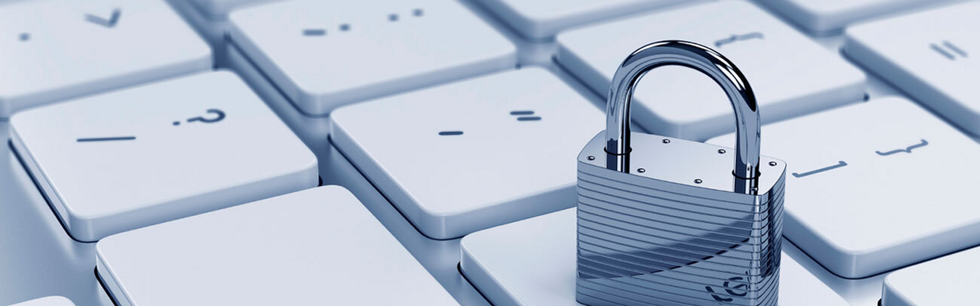 Privacy Statement (AVG)